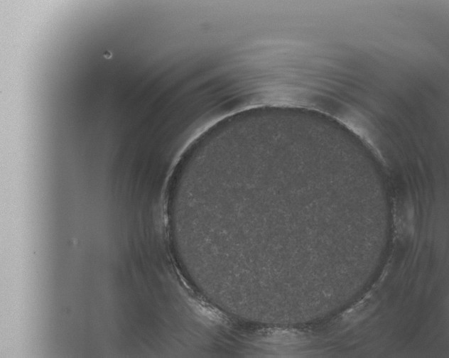 X0000072501070200607290100