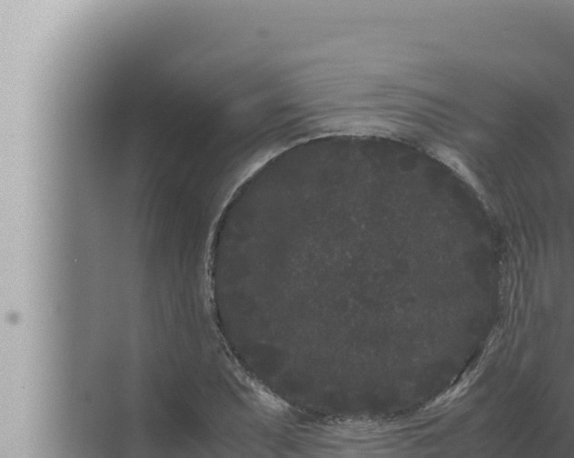 X0000072501071200607290059