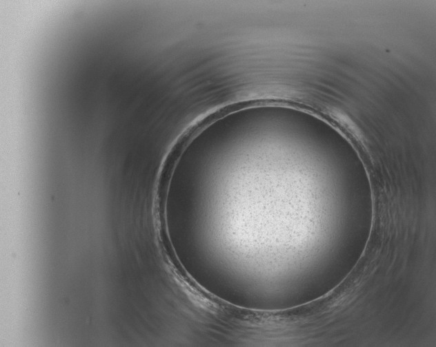 X0000072501072200607290059