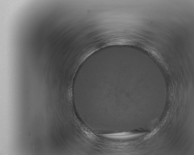 X0000072501073200607290059