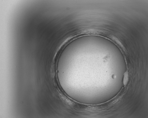 X0000072501075200607290059