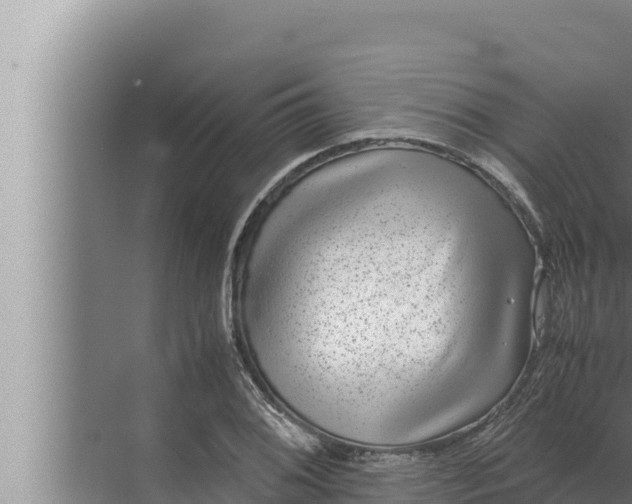 X0000072501076200607290059