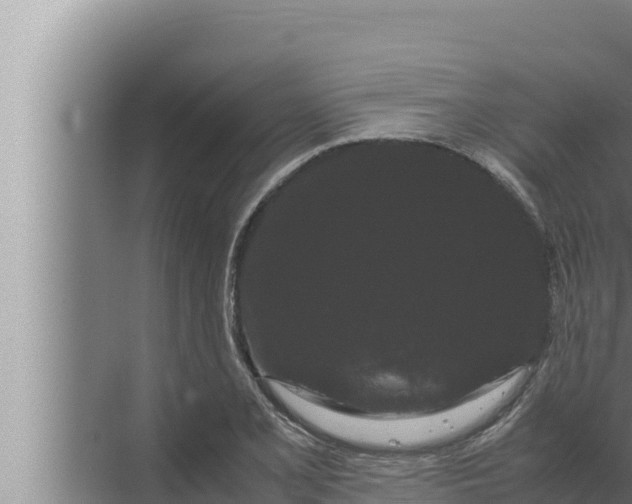 X0000072501077200607290059