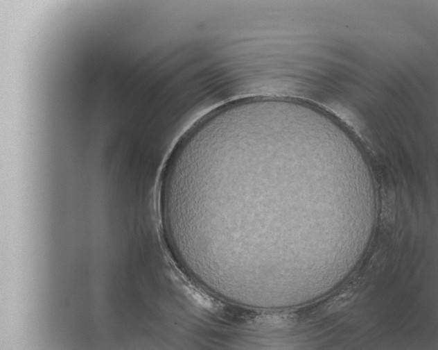 X0000072501078200607290059