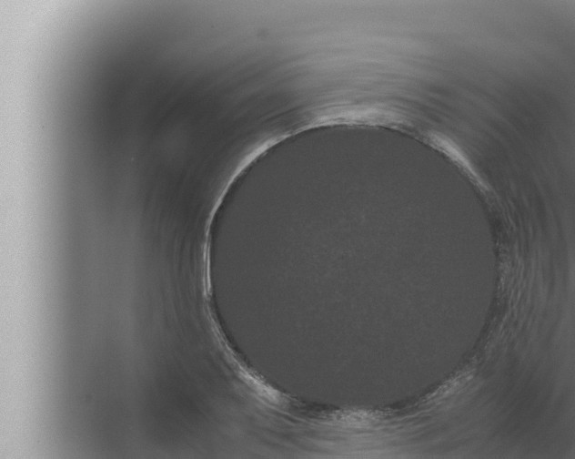 X0000072501079200607290059