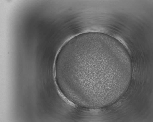 X0000072501080200607290059