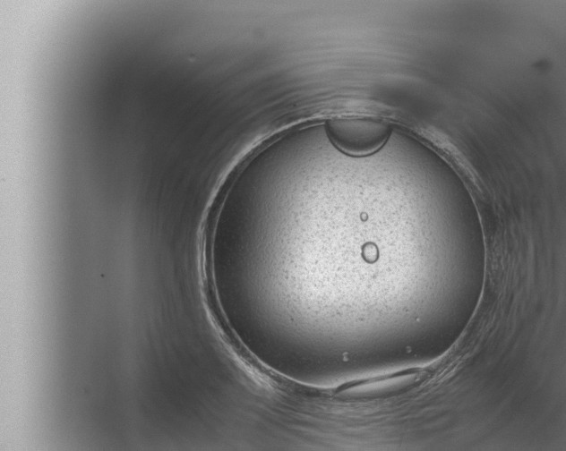 X0000072501083200607290059