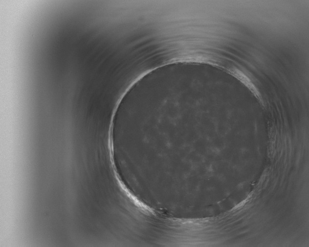 X0000072501084200607290059