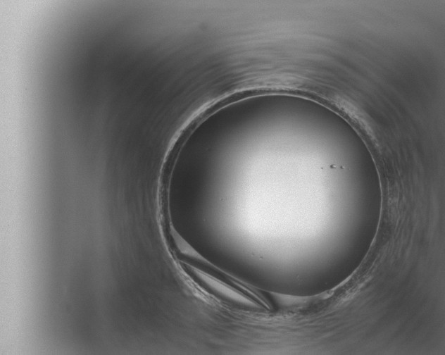 X0000072501085200607290059