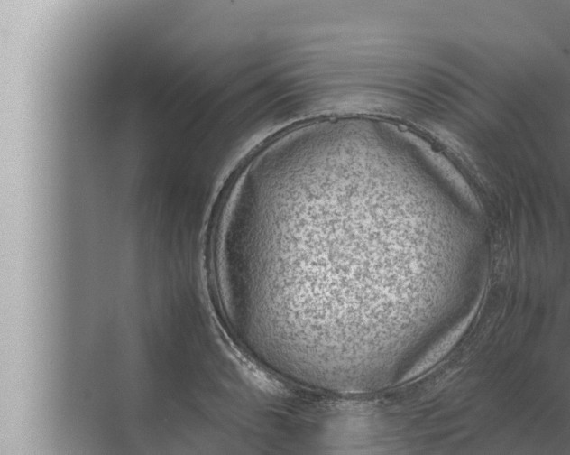 X0000072501086200607290059