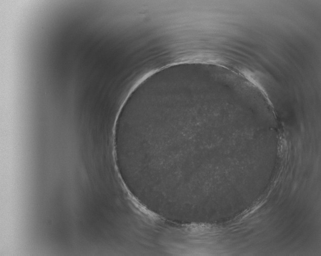 X0000072501087200607290059