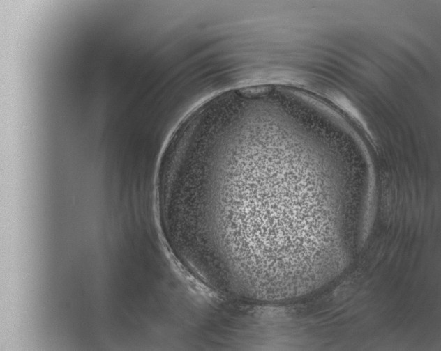 X0000072501088200607290059