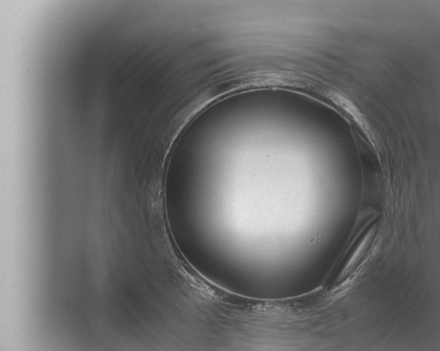 X0000072501089200607290059