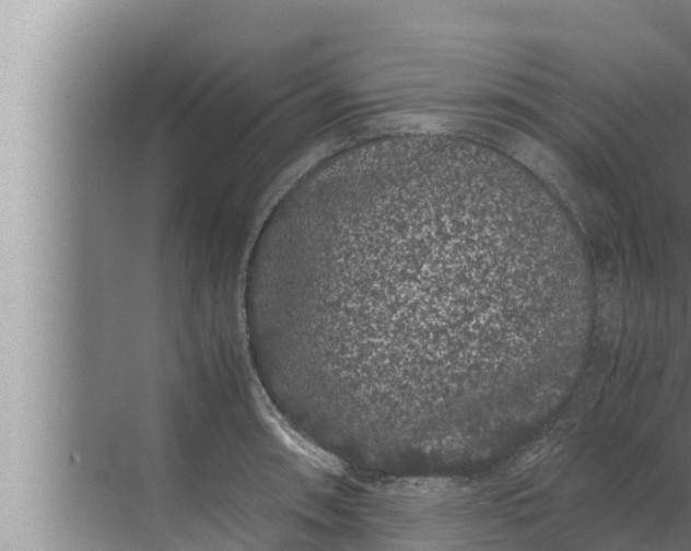 X0000072501090200607290059