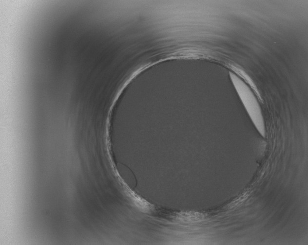 X0000072501091200607290059