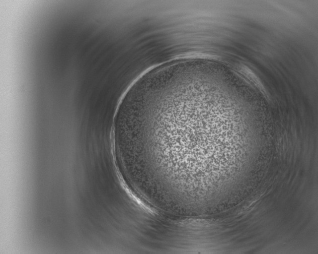 X0000072501092200607290059