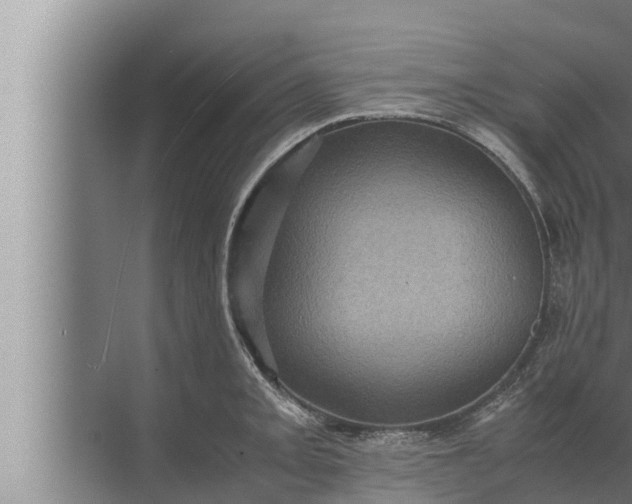 X0000072501093200607290059