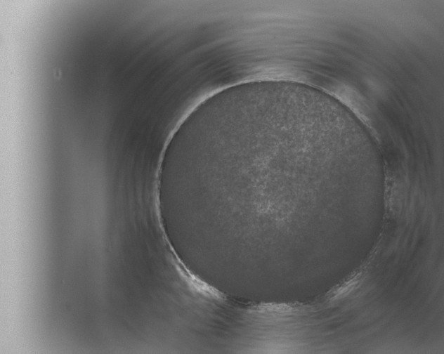 X0000072501094200607290059