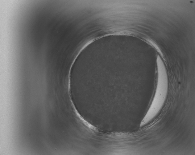 X0000072501095200607290059