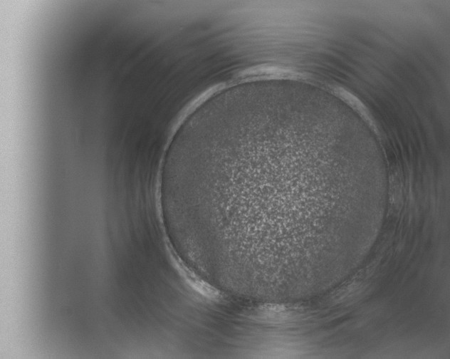 X0000072501098200607290059