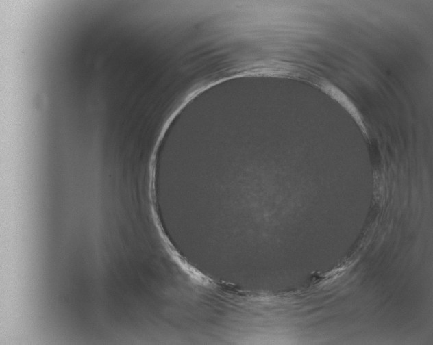 X0000072501099200607290059