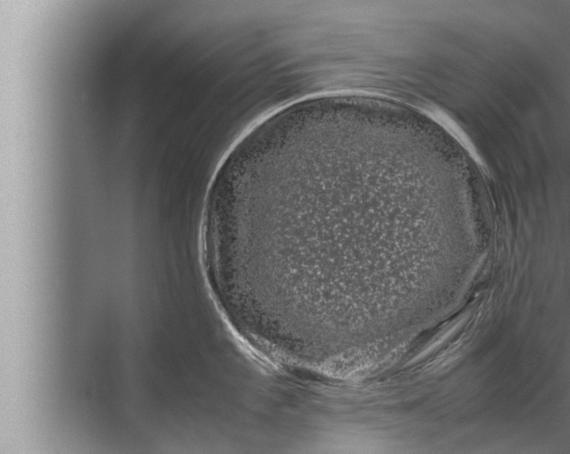 X0000072501101200607290059