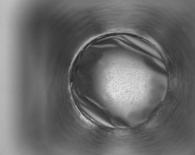 X0000072501102200607290059