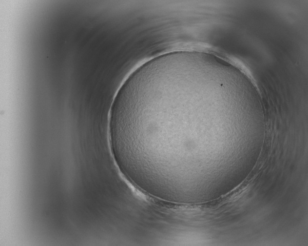 X0000072501103200607290059