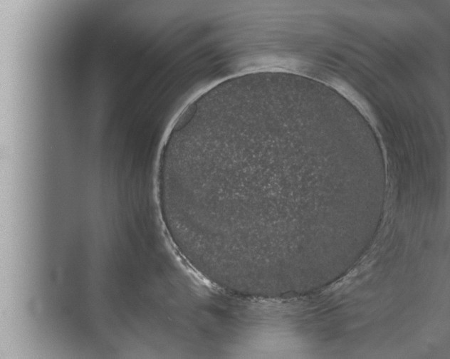 X0000072501104200607290059