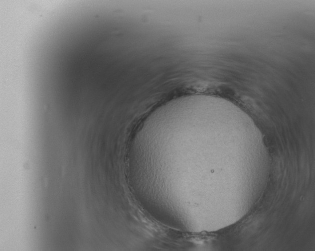 X0000072501105200607290058