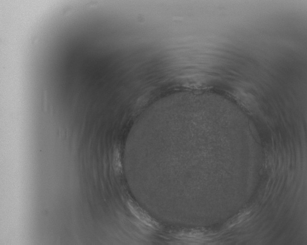 X0000072501106200607290058