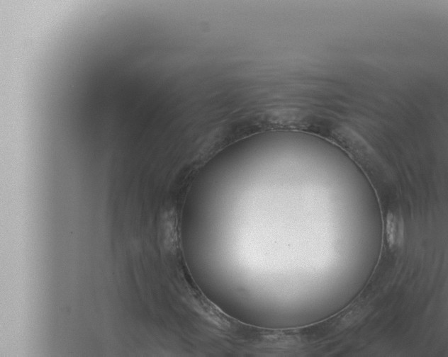 X0000072501107200607290058