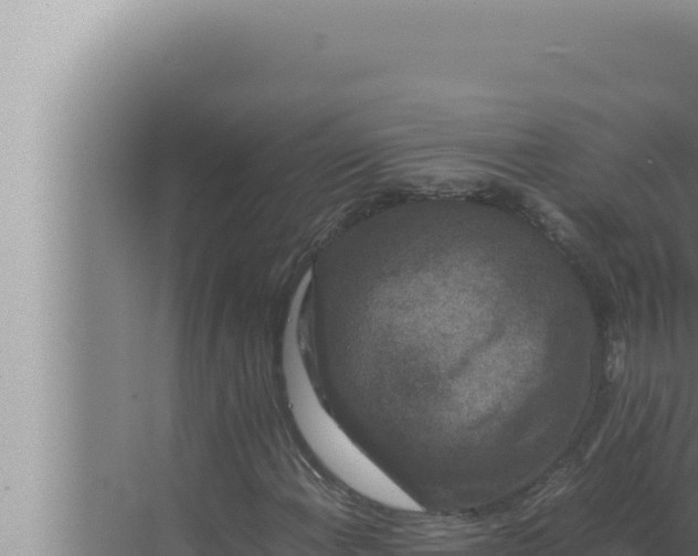 X0000072501108200607290058