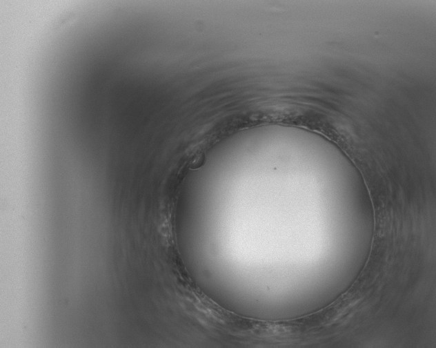 X0000072501109200607290058