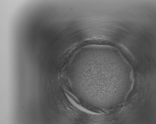 X0000072501110200607290058