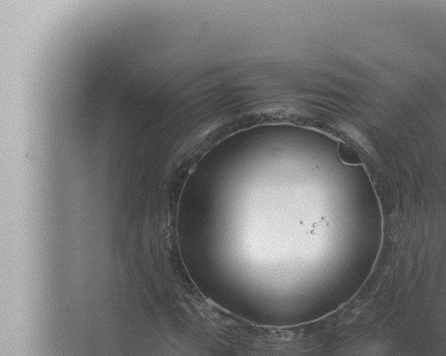 X0000072501111200607290058