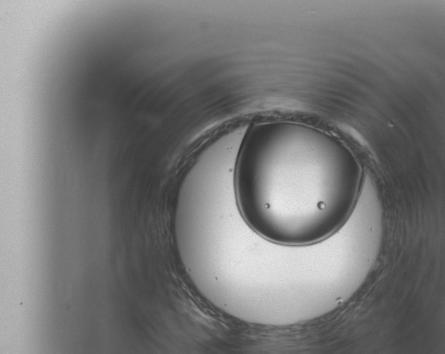 X0000072501112200607290058