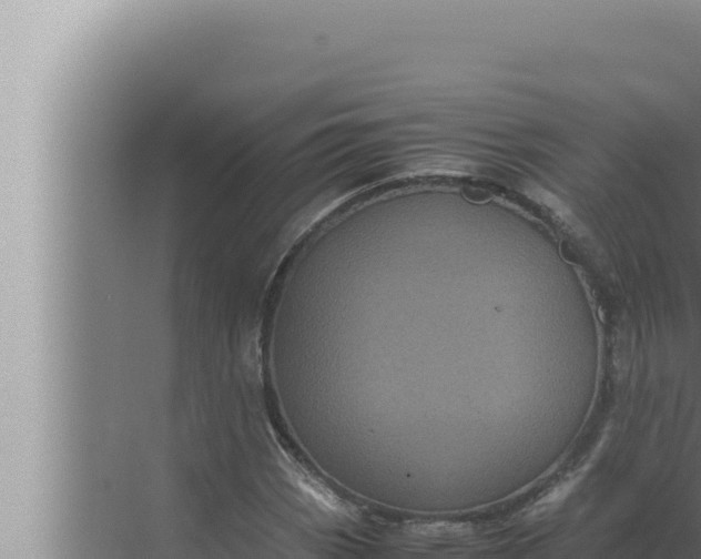 X0000072501113200607290058