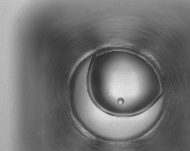 X0000072501114200607290058