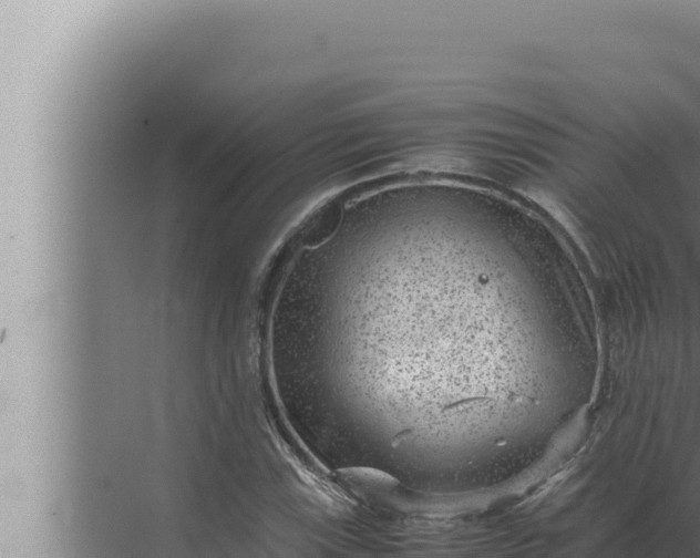 X0000072501115200607290058