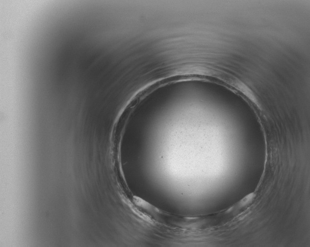 X0000072501116200607290058