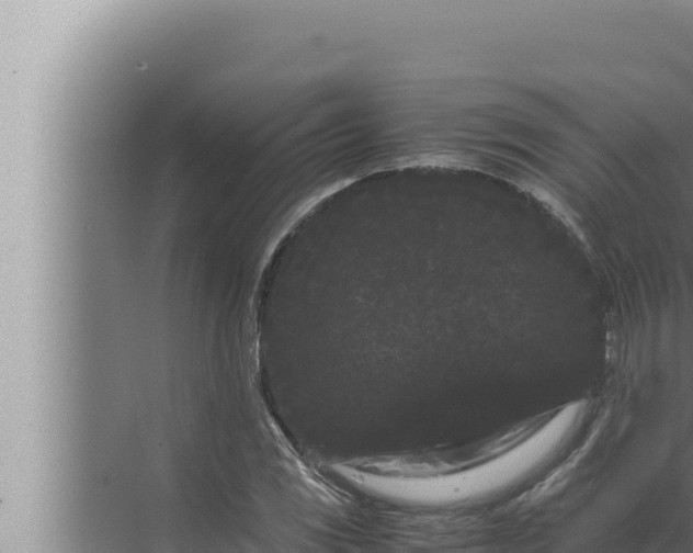 X0000072501117200607290058