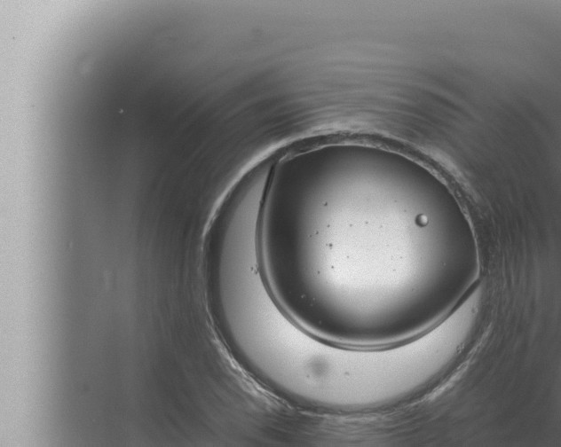 X0000072501118200607290058