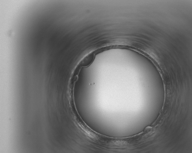 X0000072501119200607290058