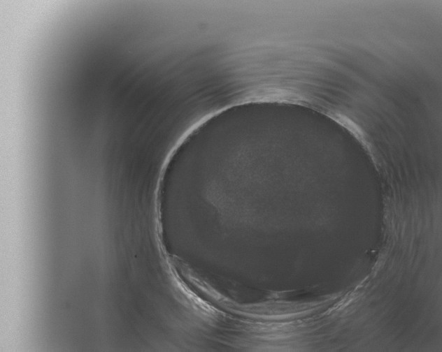 X0000072501120200607290058