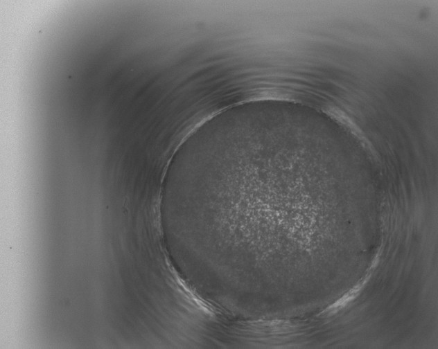 X0000072501121200607290058