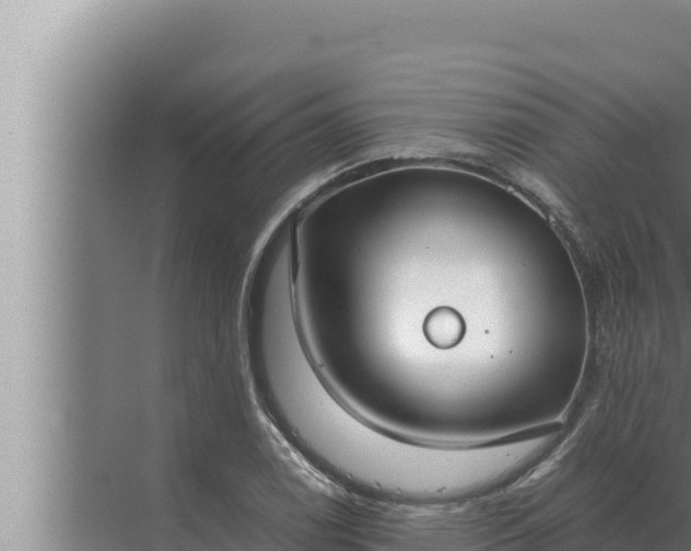 X0000072501122200607290058