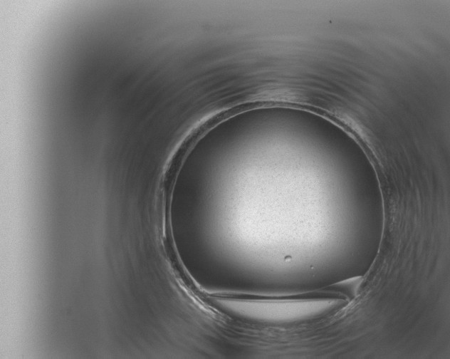 X0000072501123200607290058