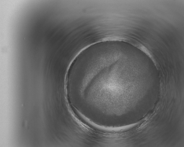 X0000072501124200607290058