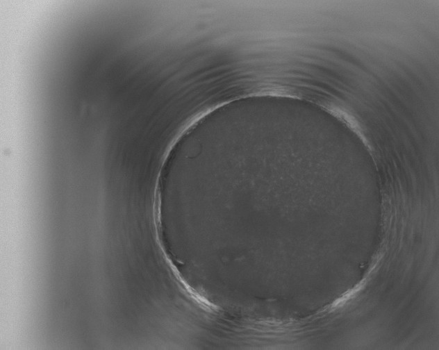 X0000072501125200607290058